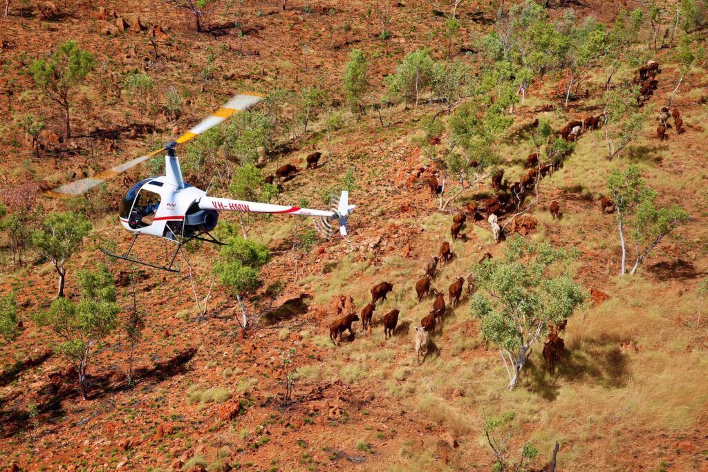 advanced flight training